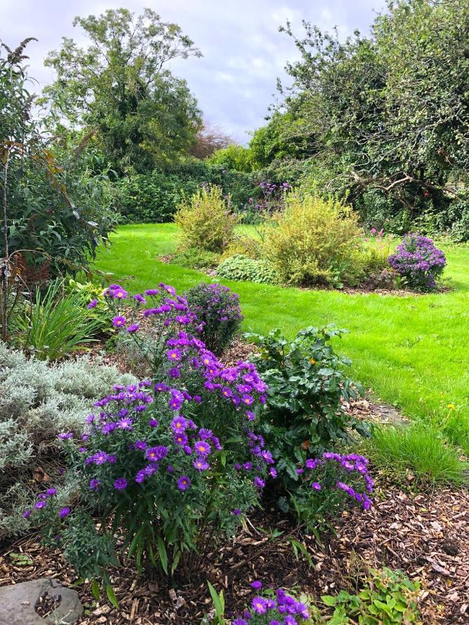 Dingle Garden Townhouse Bed & Breakfast エクステリア 写真 The gardens at the centre